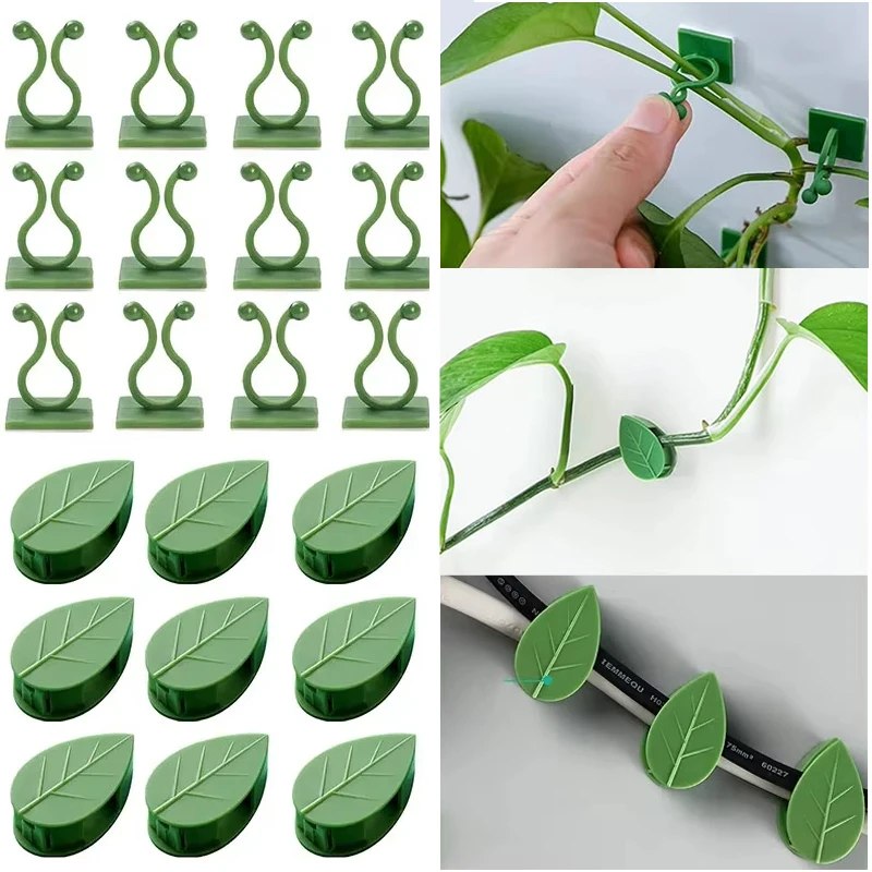 Invisible Plant Climbing Wall  - Woodworking Glue review and price