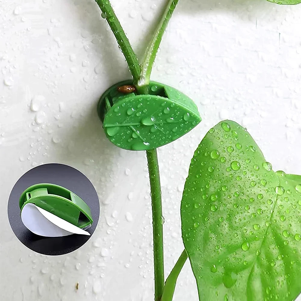 Invisible Plant Climbing Wall  - Woodworking Glue review and price