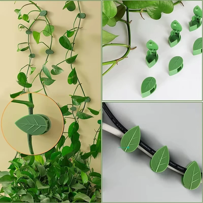 Invisible Plant Climbing Wall  - Woodworking Glue review and price